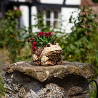 Frog Planter – Charming Garden & Home Decoration for Your Plants
