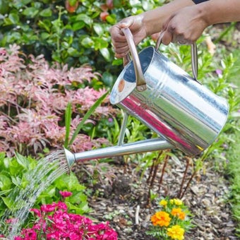 Galvanised Steel Watering Can 4.5L