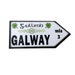 Galway Shamrock Wooden Road Sign Magnet