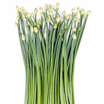 Suttons Seeds - Garlic Chives