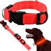 Glow-in-the-dark LED Collar for Dogs and Cats - Red