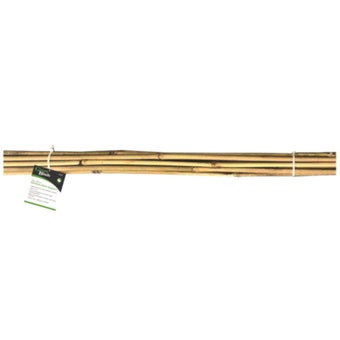 Green Blade Bamboo Plant Support 90cm 10 Pack | Natural Bamboo Canes for Garden Plants