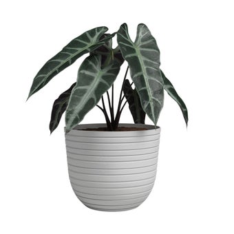Havana Horizon Pot 40cm - Limestone
