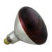 Infra Red Lamp 250W