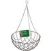 Kingfisher 12 Inch Green Hanging Basket for Garden and Patio Plant Display
