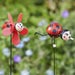 Ladybug Loony Stakes – Colourful Garden Border Decorations