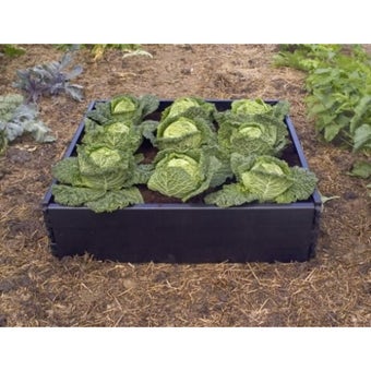 Large Grow Bed 1m x 1m x 25cm