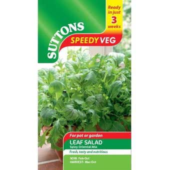 Suttons Speedy Veg Seed - Leaf Salad Spicy Oriental Mix - Pack Of 850
