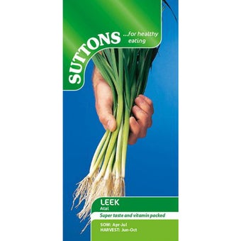 Leek ‘Atal’ Seeds | Mild Summer Salad Leeks for Easy Home Growing