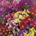 Suttons Seeds - Linaria - Fairy Bouquet