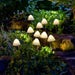 LumiShroom Solar Mushroom Stake Lights Set of 10 with Warm White LEDs for Outdoor Gardens 2.7m