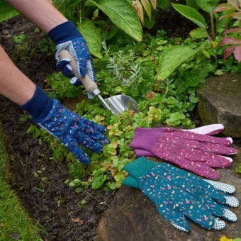 Mushrooms Cotton Grips I Size Medium I Pack of 3