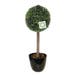 Nearly Natural Boxwood 1 Ball Tree 2ft