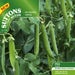 Pea ‘Vivado’ Seeds | Sweet, High-Yielding Garden Peas