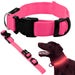 Pink LED Glow-in-the-dark Pet Collar
