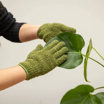 Plant Dusting Gloves – Green Microfibre Leaf Cleaning Gloves
