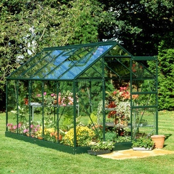 Popular Greenhouse Horticultural Glass Green 6' x 8'