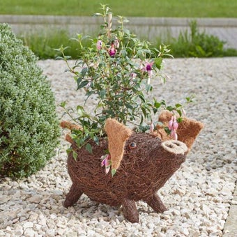 Porky Pig Decorative Rattan Planter