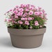 ARTEVASI Capri Bowl Plant Pot Dark Taupe 30cm – Recycled Plastic Planter