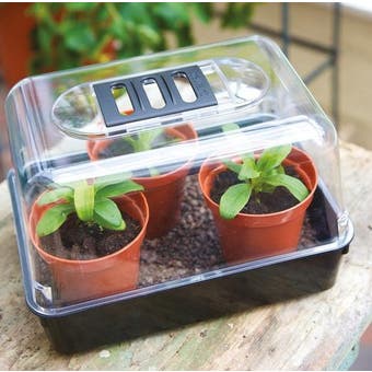 Unheated Propagator - 52 cm