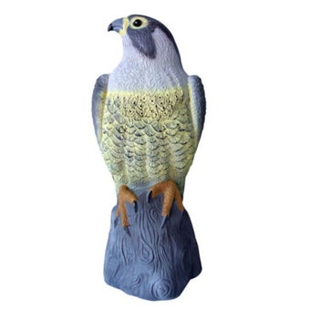 Redwood Falcon Bird Deterrent
