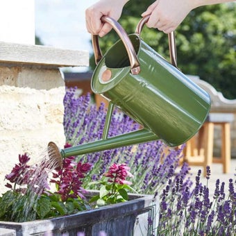 Sage Green Galvanised Steel Watering Can with Folding Handle and Removable Rose 4.5L