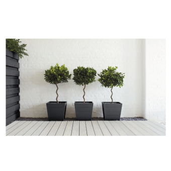 Ronseal Garden Paint Blackbird 750ml