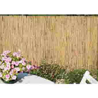 Ambassador Reed Fence / Wall Screening 4 x 1m