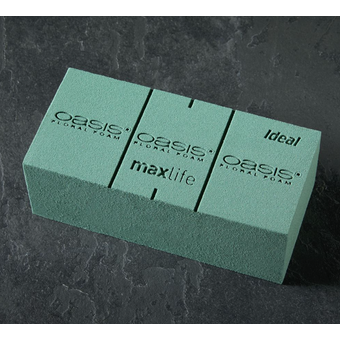 Oasis Floral Foam Brick