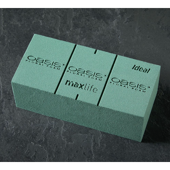 Oasis Floral Foam Brick
