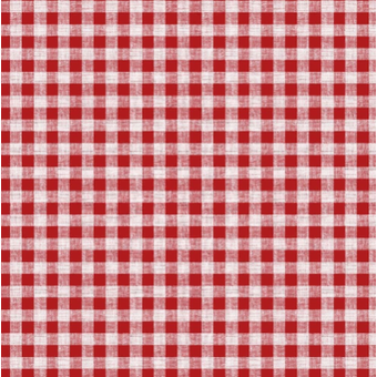 Red gingham pattern wipe clean oilcloth/tablecloth