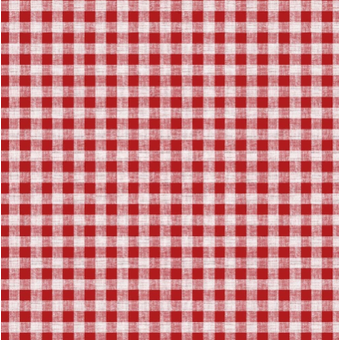 Red gingham pattern wipe clean oilcloth/tablecloth