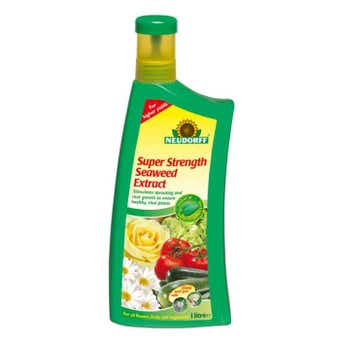 Neudorff Super Strength Seaweed Extract Liquid - 1L