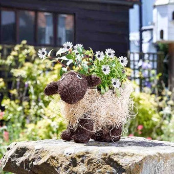 Shelley Sheep Rattan Planter – Decorative Indoor & Outdoor Pot