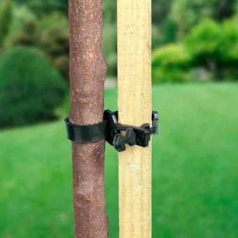 Ambassador Soft Shrub Ties 13.75" Adjustable - Each