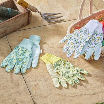 Sicilian Lemon Cotton Grips I Size M I Pack of 3