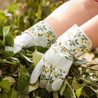 Sicilian Lemon Premium Lightweight Rigger - Size M