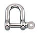Straight D Shackle with eye bolt