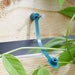 StemFix Plant Support Clips 10 Pack | Secure Garden Stem Fasteners