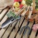 Draper 3pc Gardening Tool Hardwood Handle Set