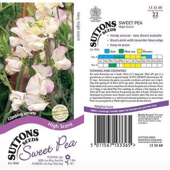 Sweet Pea Seeds - High Scent