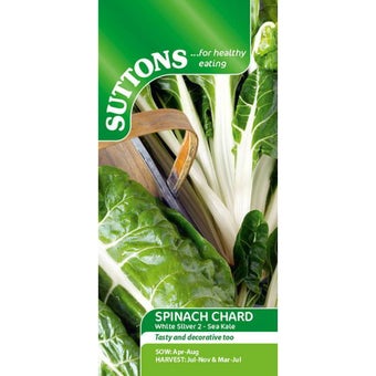 Leaf Beet ‘Silver or Sea Kale’ Seeds | Nutritious Leafy Vegetable with Long Harvest