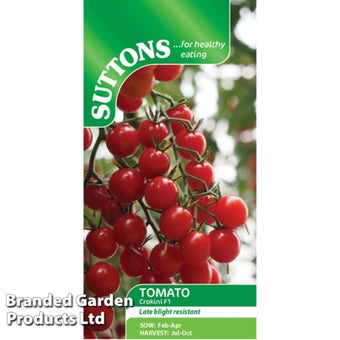 Tomato ‘Crokini’ F1 Seeds | Blight-Resistant Cherry Tomato with Heavy Yields