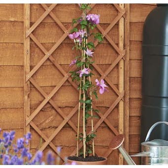 GreenBlade Expanding Wooden Trellis