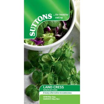 Cress American Land Seeds – Fast Growing Flavourful Salad Leaf for Sandwiches and Garnishes