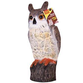 Big Cheese Owl Bird Deterrent – 17 Inch Life-Like Owl with Hanging or Fixed Mount