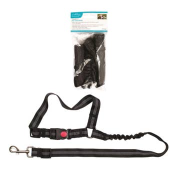 Ashley Adjustable Headrest Pet Seat Belt and Car Safety Leash for Dogs Up to 30kg