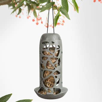 Singing Friend Tara Bird Feeder – Recycled Grey Hanging Feeder