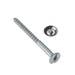 Premier 2 Piece 8 x 1½ Chrome Plated Mirror Screws