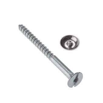 Premier 2 Piece 8 x 1½ Chrome Plated Mirror Screws